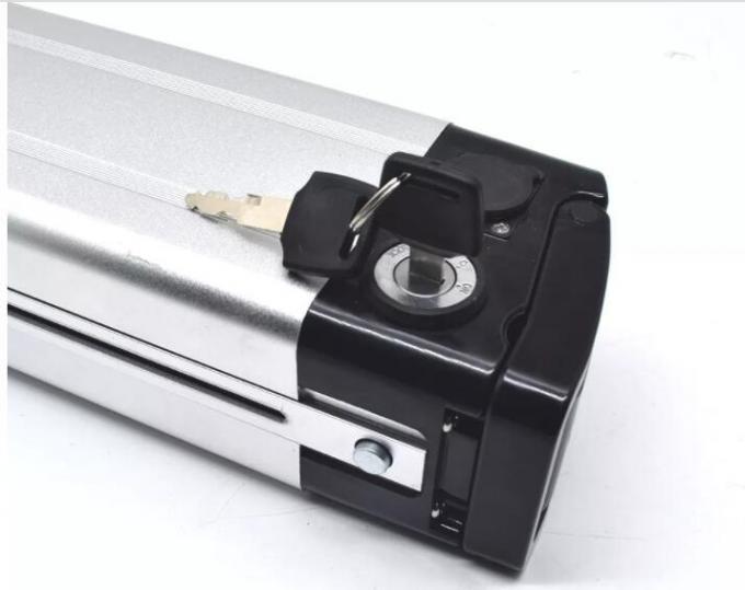Silver Fish E Bike Battery 1000W 24V 36V 48V 10ah 15ah 20ah E-Scooter Battery Fiets Battery 18650 Cell Downtube Akku Lithium Ion Battery voor schoner vermogen 3